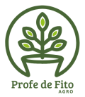 Profe de Fito -logo -cor